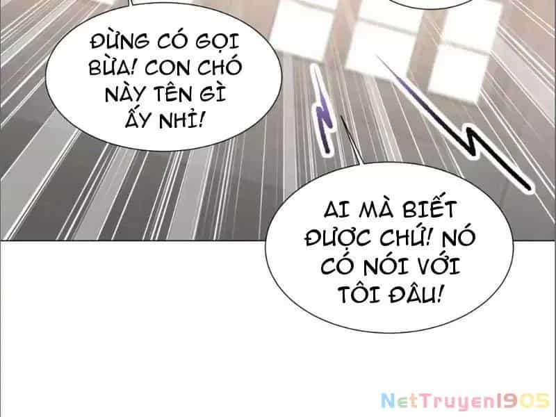 Kế Hoạch Nuôi Dưỡng Streamer Của Cẩu Hoàng - Chương 19 - ảnh 53