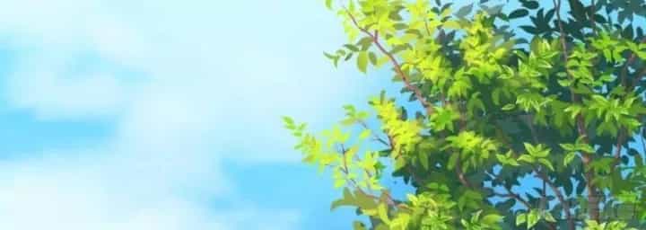 Kế Hoạch Nuôi Dưỡng Streamer Của Cẩu Hoàng - Chương 20 - ảnh 116
