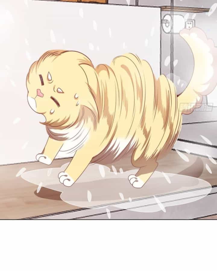 Kế Hoạch Nuôi Dưỡng Streamer Của Cẩu Hoàng - Chương 4 - ảnh 32
