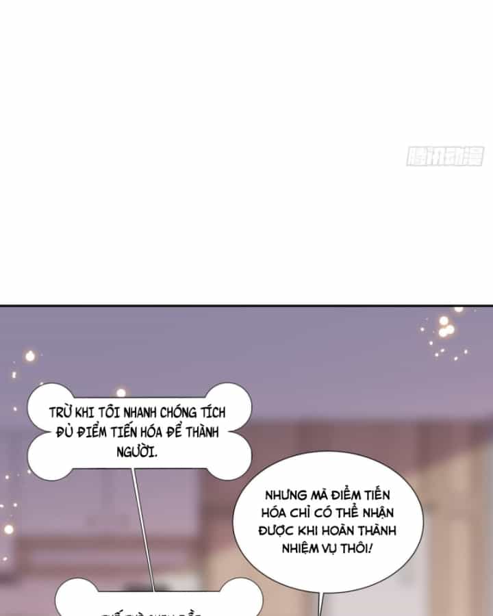 Kế Hoạch Nuôi Dưỡng Streamer Của Cẩu Hoàng - Chương 5 - ảnh 26