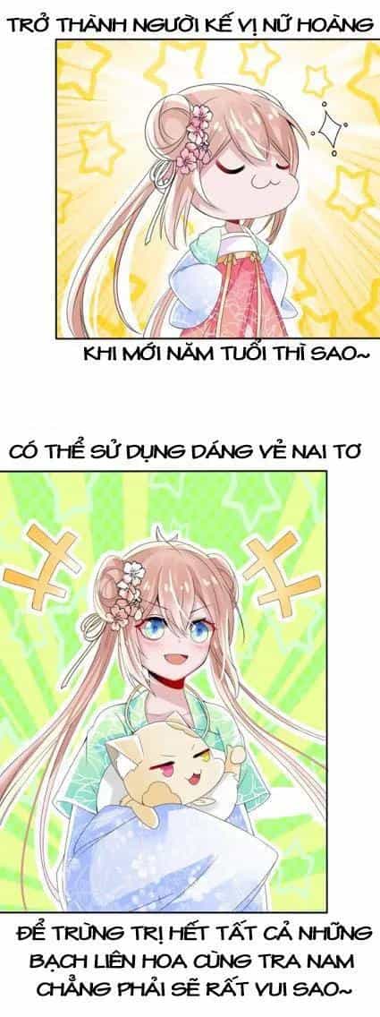 Kế Hoạch Sủng Ái Của Tiểu Công Chúa - Chương 1 - ảnh 10