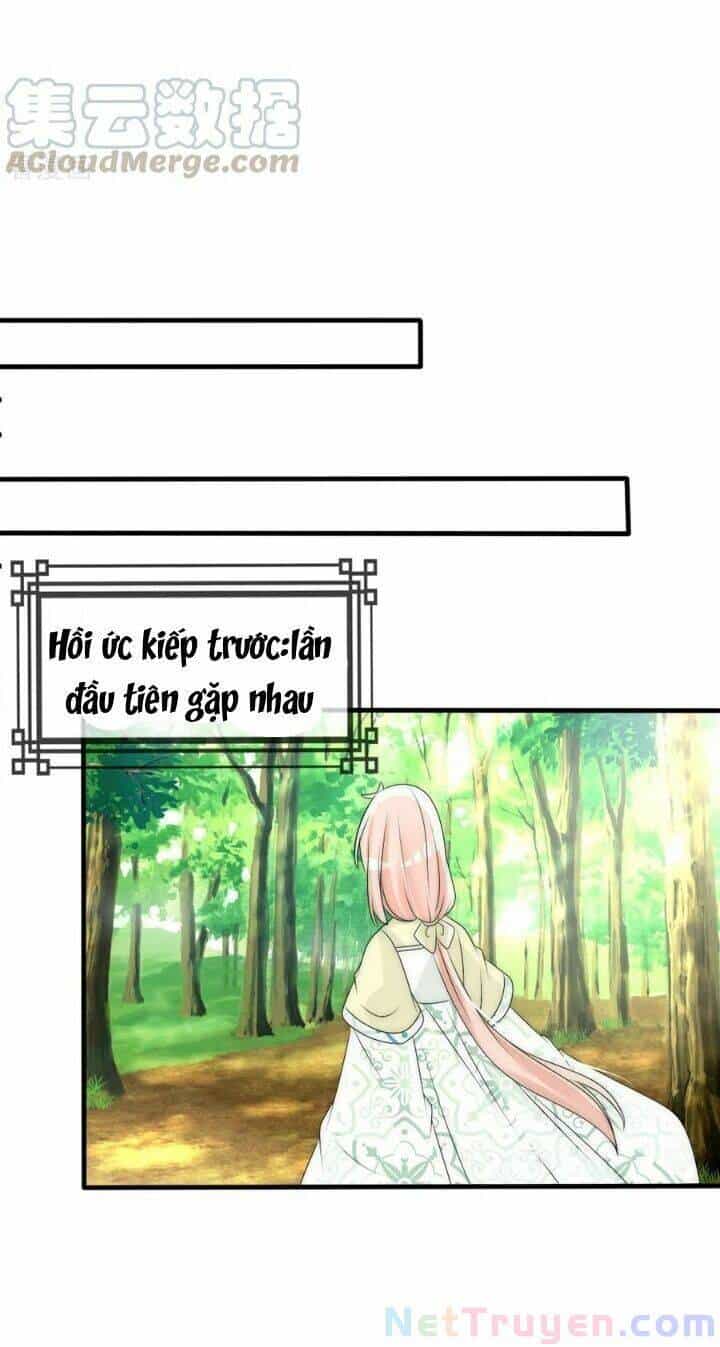 Kế Hoạch Sủng Ái Của Tiểu Công Chúa - Chương 61 - ảnh 11