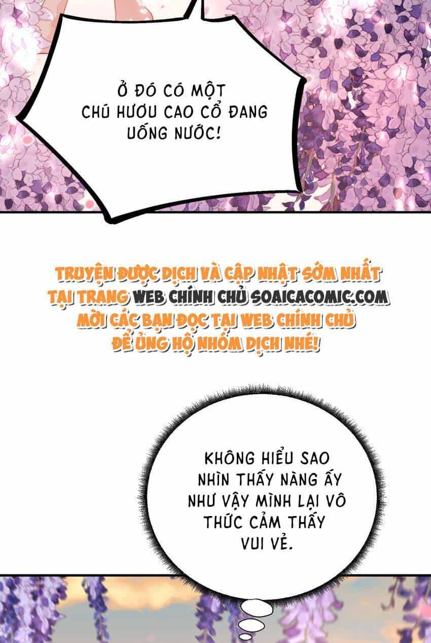 Kế Hoạch Thuần Phục Thú Phu Kiêu Ngạo - Chương 20 - ảnh 39
