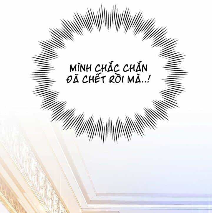 Kẻ Phản Diện Là Một Con Rối - Chương 0 - ảnh 68