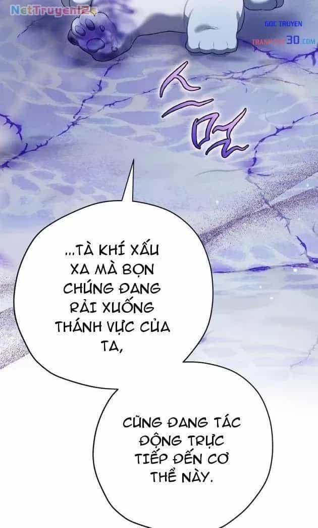 Kẻ Phán Quyết - Chương 76 - ảnh 40