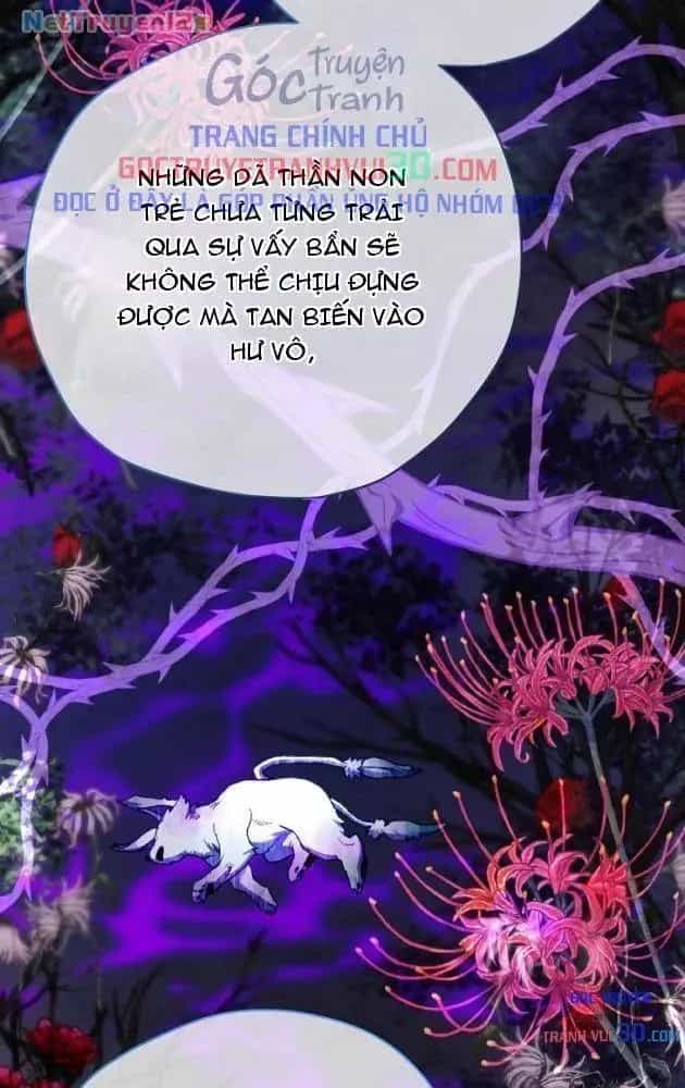 Kẻ Phán Quyết - Chương 76 - ảnh 45