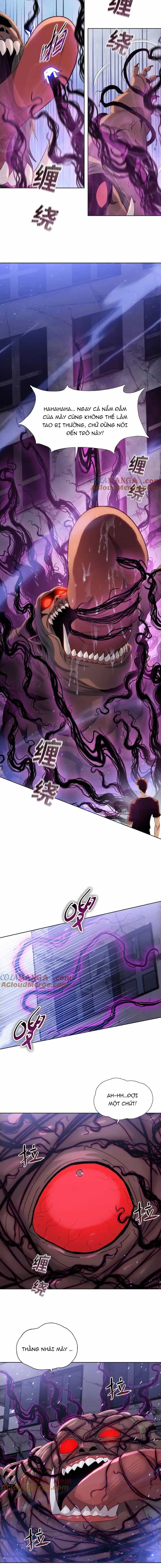 Kẻ Tàn Nhẫn Ngày Tận Thế: Bắt Đầu Dự Trữ Hàng Tỉ Tấn Vật Tư - Chương 52 - ảnh 4