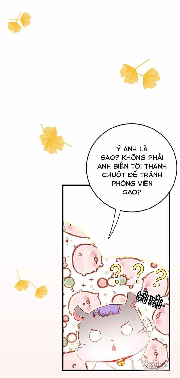 Kế Ước Ngọt Sủng:quốc Dân Lão Công Đích Tiểu Chiếm Giữ Thử - Chương 3 - ảnh 3