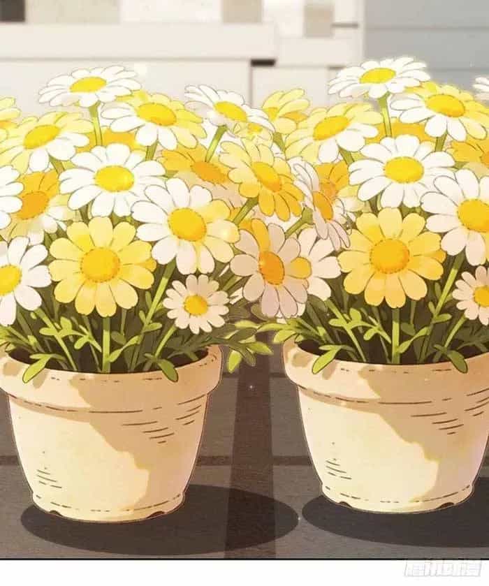 Kết Hôn Với Đại Lão Thực Vật - Chương 104 - ảnh 9