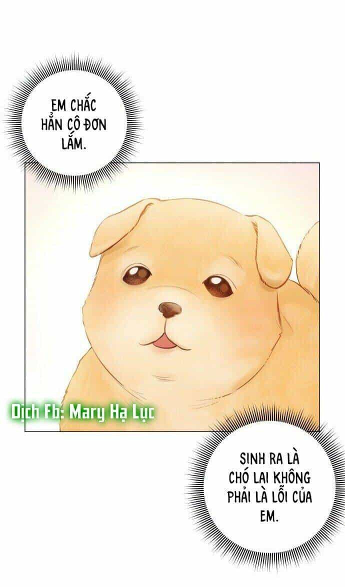 Kết Thúc Nhất Định Sẽ Có Hậu - Chương 1 - ảnh 93
