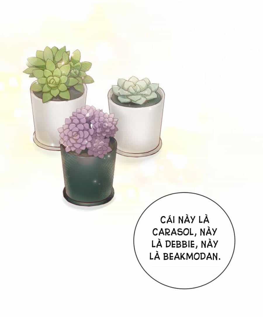 Kết Thúc Nhất Định Sẽ Có Hậu - Chương 50 - ảnh 26