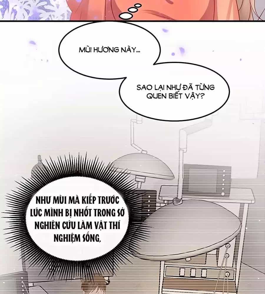 Khóa Chặt Đôi Môi - Chương 98 - ảnh 63
