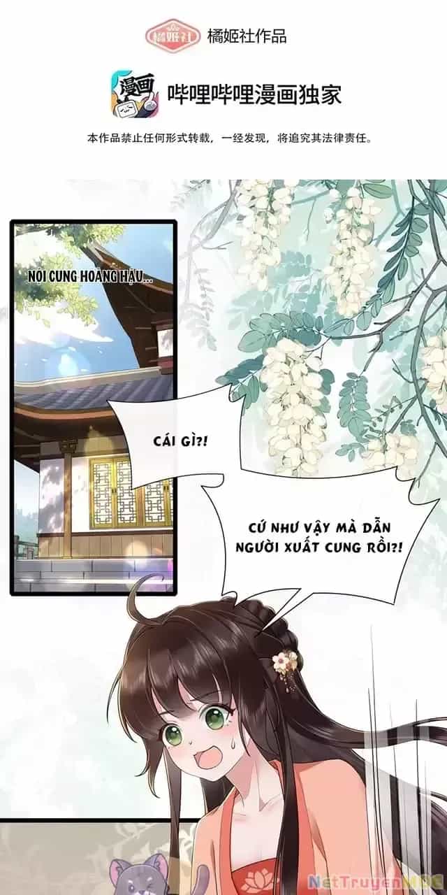 Không Biết Bệ Hạ Là Một Tiểu Cô Nương - Chương 32 - ảnh 4