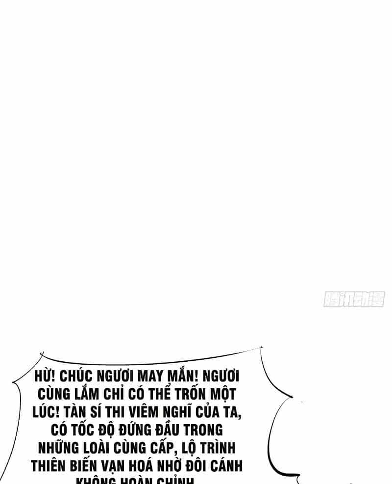 Không Có Đạo Lữ Sẽ Chết - Chương 41 - ảnh 41
