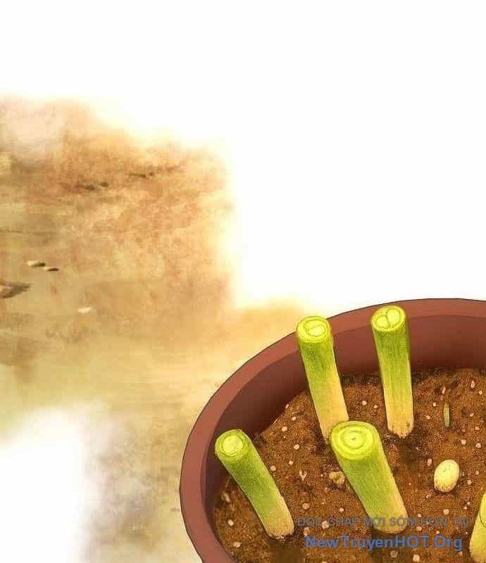 Không Gian Đặc Biệt Của Luật Sư Bình Dị - Chương 14 - ảnh 17