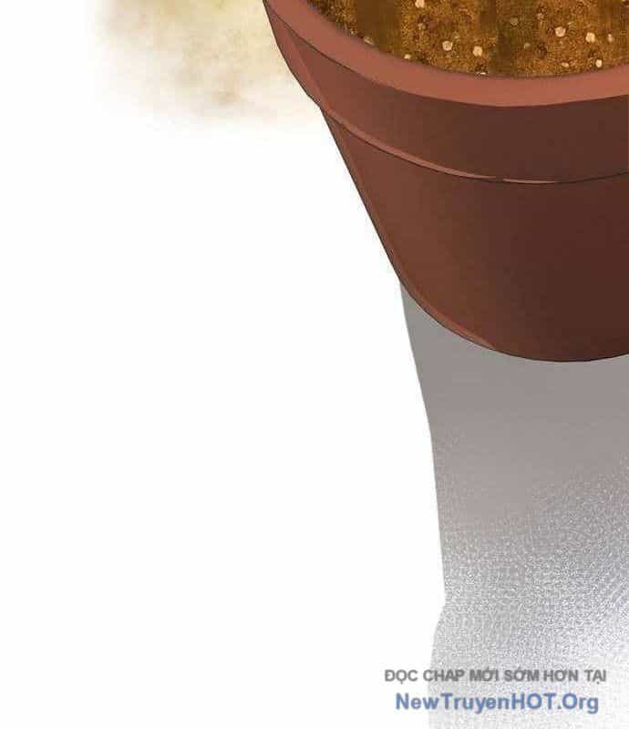 Không Gian Đặc Biệt Của Luật Sư Bình Dị - Chương 14 - ảnh 18