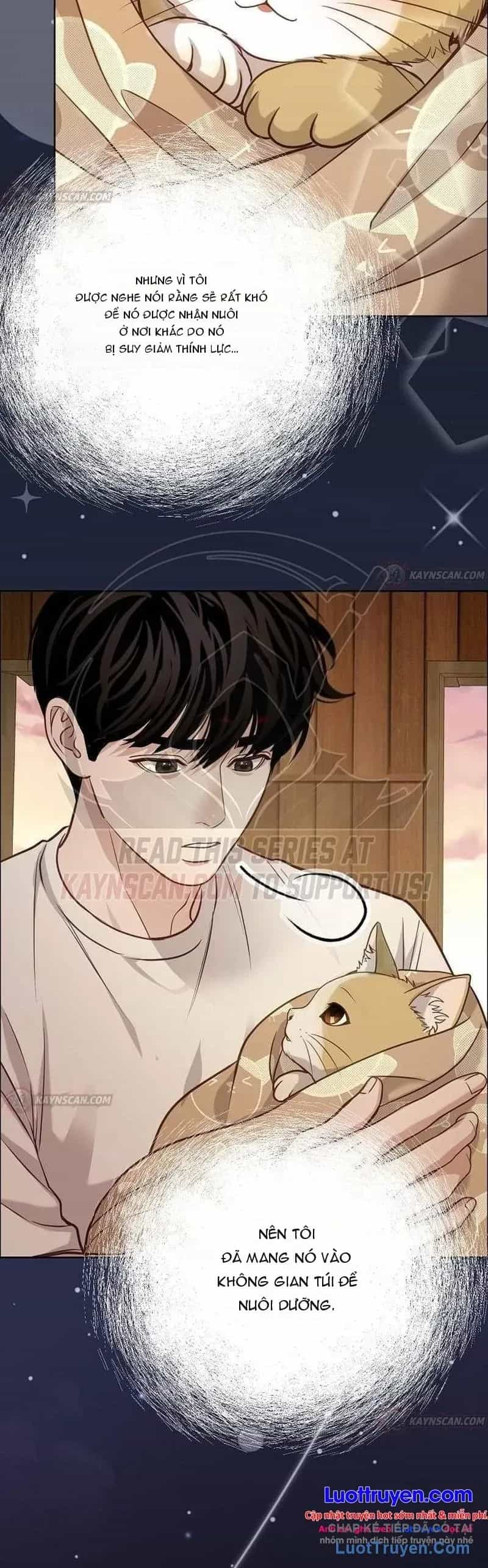 Không Gian Đặc Biệt Của Luật Sư Bình Dị - Chương 37 - ảnh 47