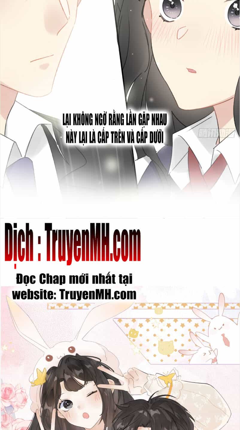 Không Nên Tùy Tiện Đối Nghịch Với Thủ Trưởng - Chương 1 - ảnh 18