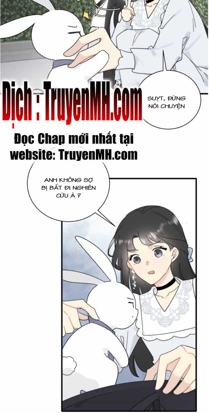 Không Nên Tùy Tiện Đối Nghịch Với Thủ Trưởng - Chương 14 - ảnh 21