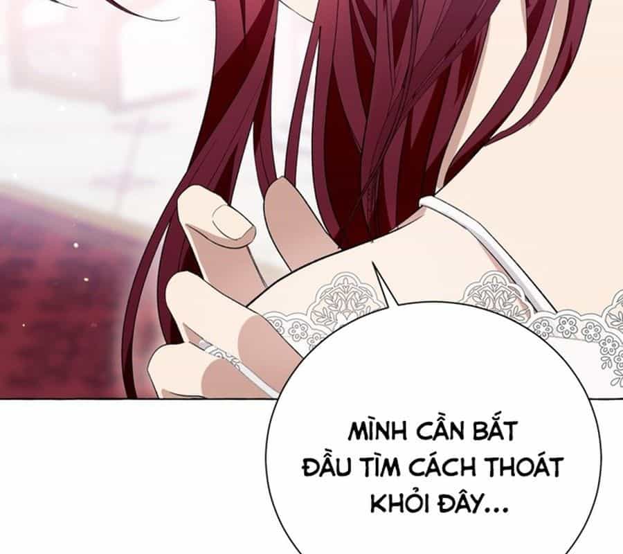 Không Phải Câu Chuyện Chuyển Sinh Thông Thường - Chương 11 - ảnh 220