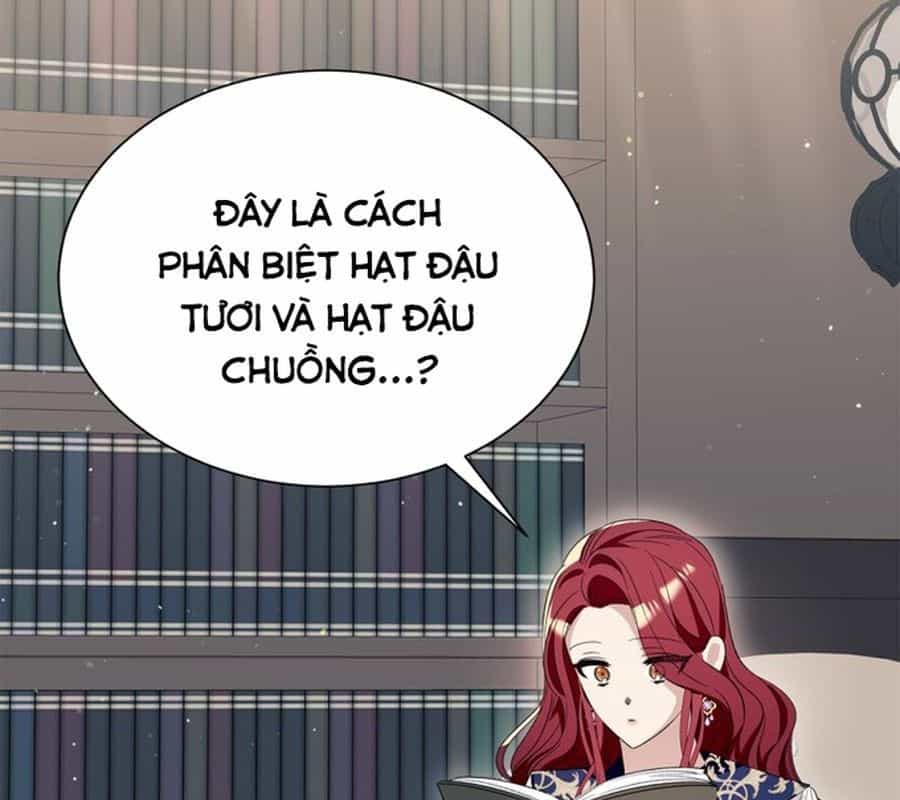 Không Phải Câu Chuyện Chuyển Sinh Thông Thường - Chương 12 - ảnh 176