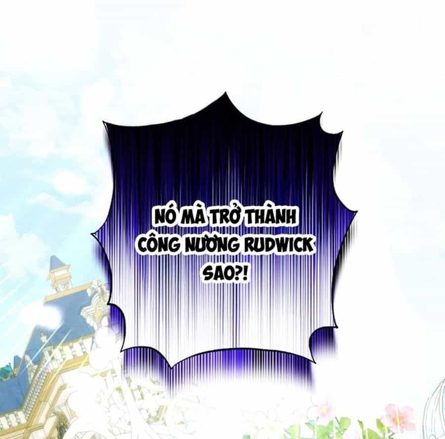 Không Phải Câu Chuyện Chuyển Sinh Thông Thường - Chương 17 - ảnh 29