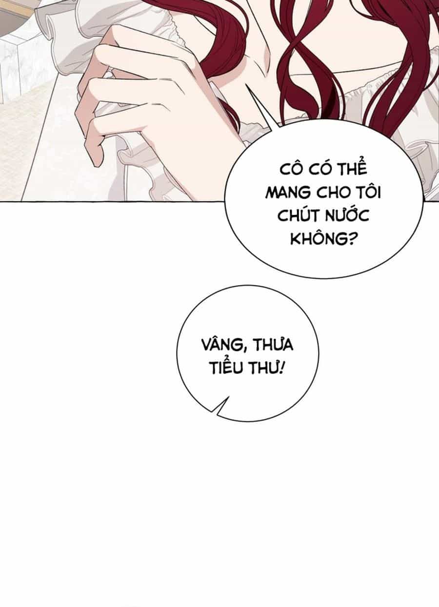 Không Phải Câu Chuyện Chuyển Sinh Thông Thường - Chương 19 - ảnh 136