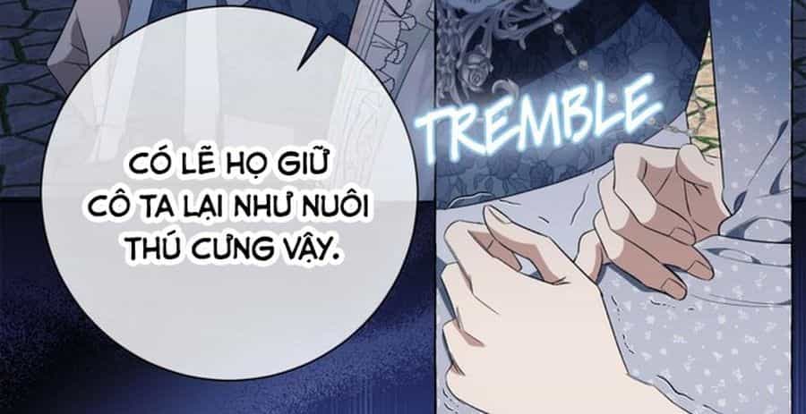 Không Phải Câu Chuyện Chuyển Sinh Thông Thường - Chương 24 - ảnh 118