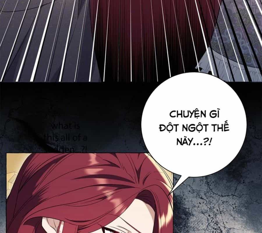 Không Phải Câu Chuyện Chuyển Sinh Thông Thường - Chương 25 - ảnh 139