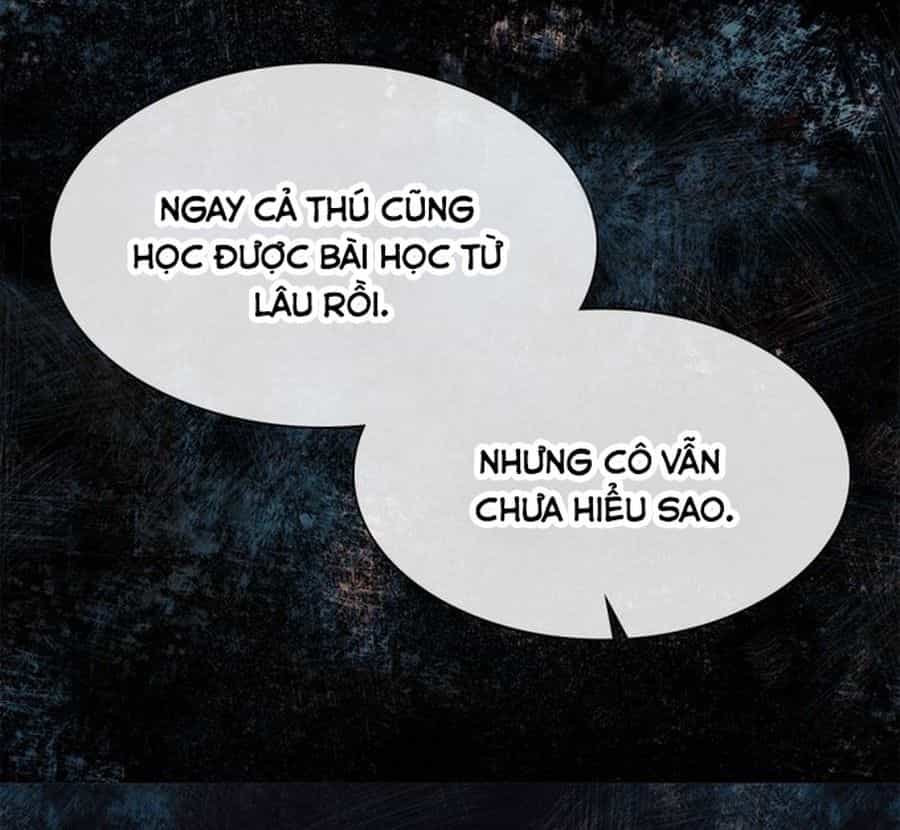 Không Phải Câu Chuyện Chuyển Sinh Thông Thường - Chương 26 - ảnh 56