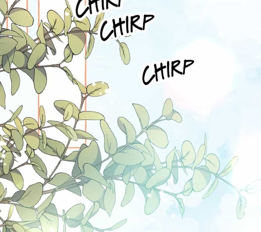 Không Phải Câu Chuyện Chuyển Sinh Thông Thường - Chương 3 - ảnh 211