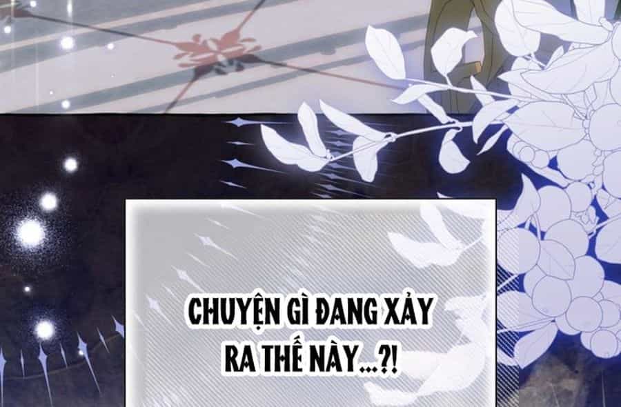 Không Phải Câu Chuyện Chuyển Sinh Thông Thường - Chương 30 - ảnh 174