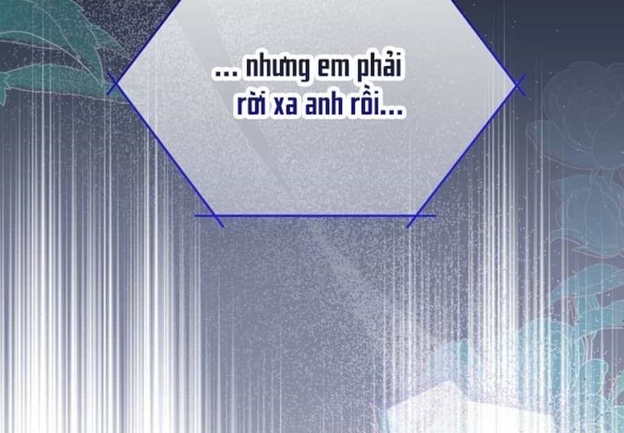 Không Phải Câu Chuyện Chuyển Sinh Thông Thường - Chương 35 - ảnh 114