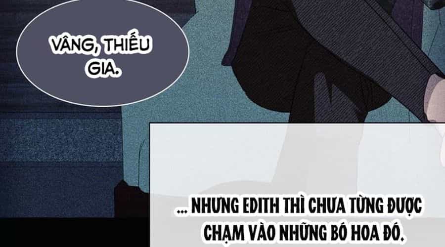 Không Phải Câu Chuyện Chuyển Sinh Thông Thường - Chương 36 - ảnh 46