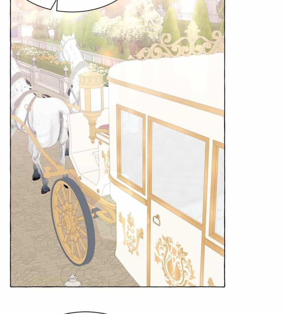 Không Phải Câu Chuyện Chuyển Sinh Thông Thường - Chương 40 - ảnh 55