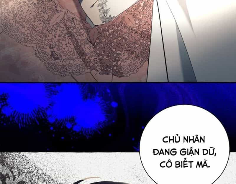 Không Phải Câu Chuyện Chuyển Sinh Thông Thường - Chương 58 - ảnh 22