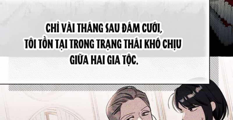 Không Phải Câu Chuyện Chuyển Sinh Thông Thường - Chương 65 - ảnh 59