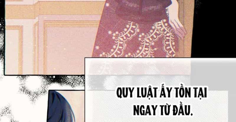 Không Phải Câu Chuyện Chuyển Sinh Thông Thường - Chương 75 - ảnh 32