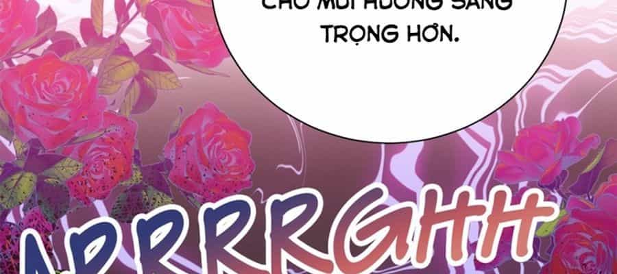 Không Phải Câu Chuyện Chuyển Sinh Thông Thường - Chương 9 - ảnh 42