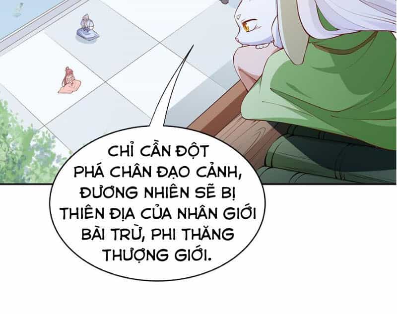 Kiếm Thần Tuyệt Thế - Chương 222 - ảnh 5