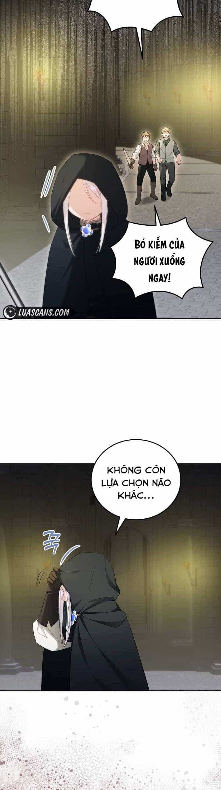 Kiếp Này Ta Sẽ Không Sống Như Một Anh Hùng Nữa Đâu! Có Lẽ Ta Sẽ Nghỉ Hưu! - Chương 11 - ảnh 17