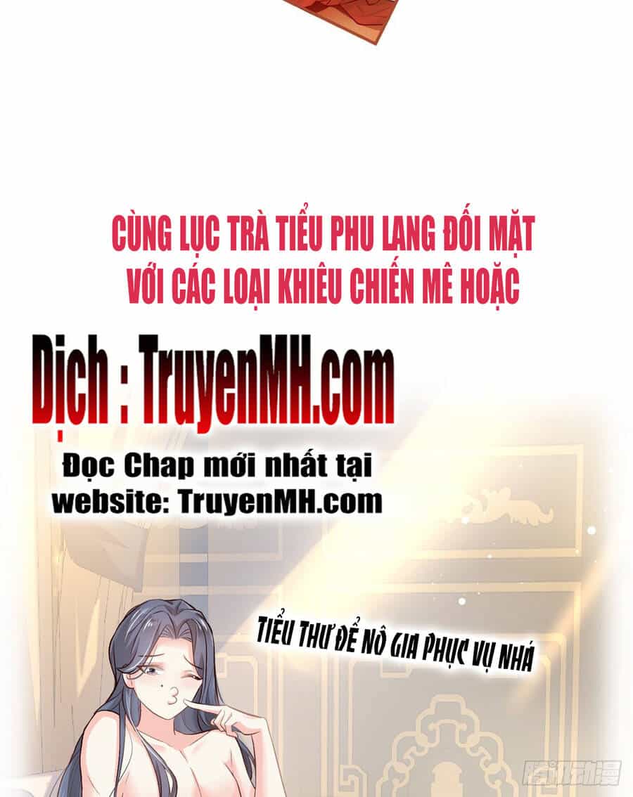 Kiều Mỵ Phu Lang, Tại Tuyến Lục Trà - Chương 1 - ảnh 26