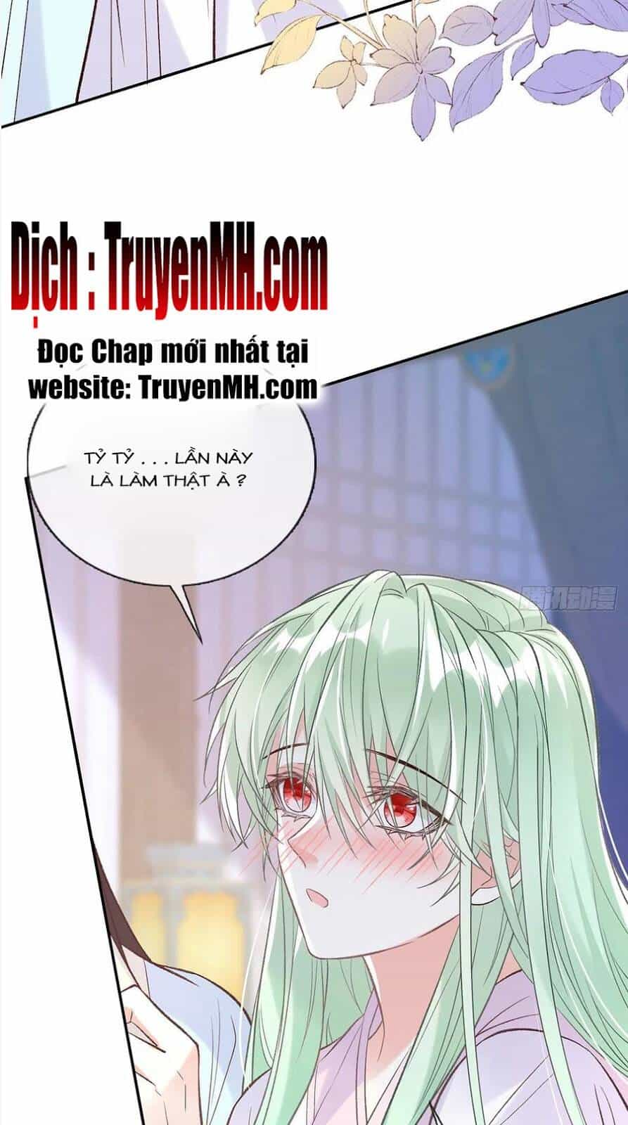 Kiều Mỵ Phu Lang, Tại Tuyến Lục Trà - Chương 100 - ảnh 16