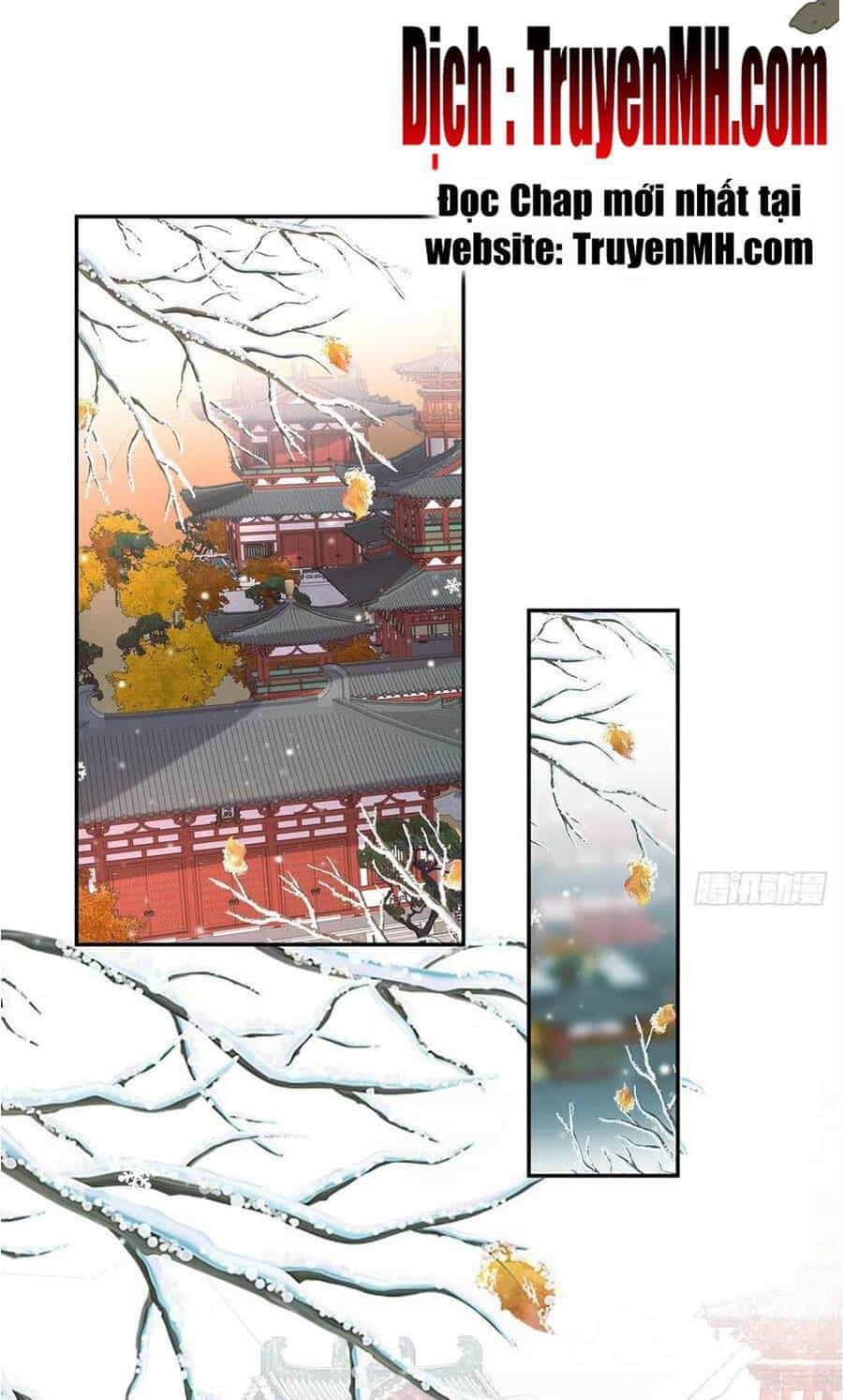 Kiều Mỵ Phu Lang, Tại Tuyến Lục Trà - Chương 118 - ảnh 8