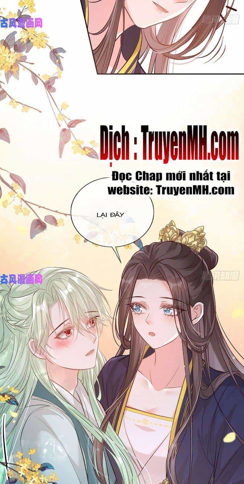 Kiều Mỵ Phu Lang, Tại Tuyến Lục Trà - Chương 60 - ảnh 12