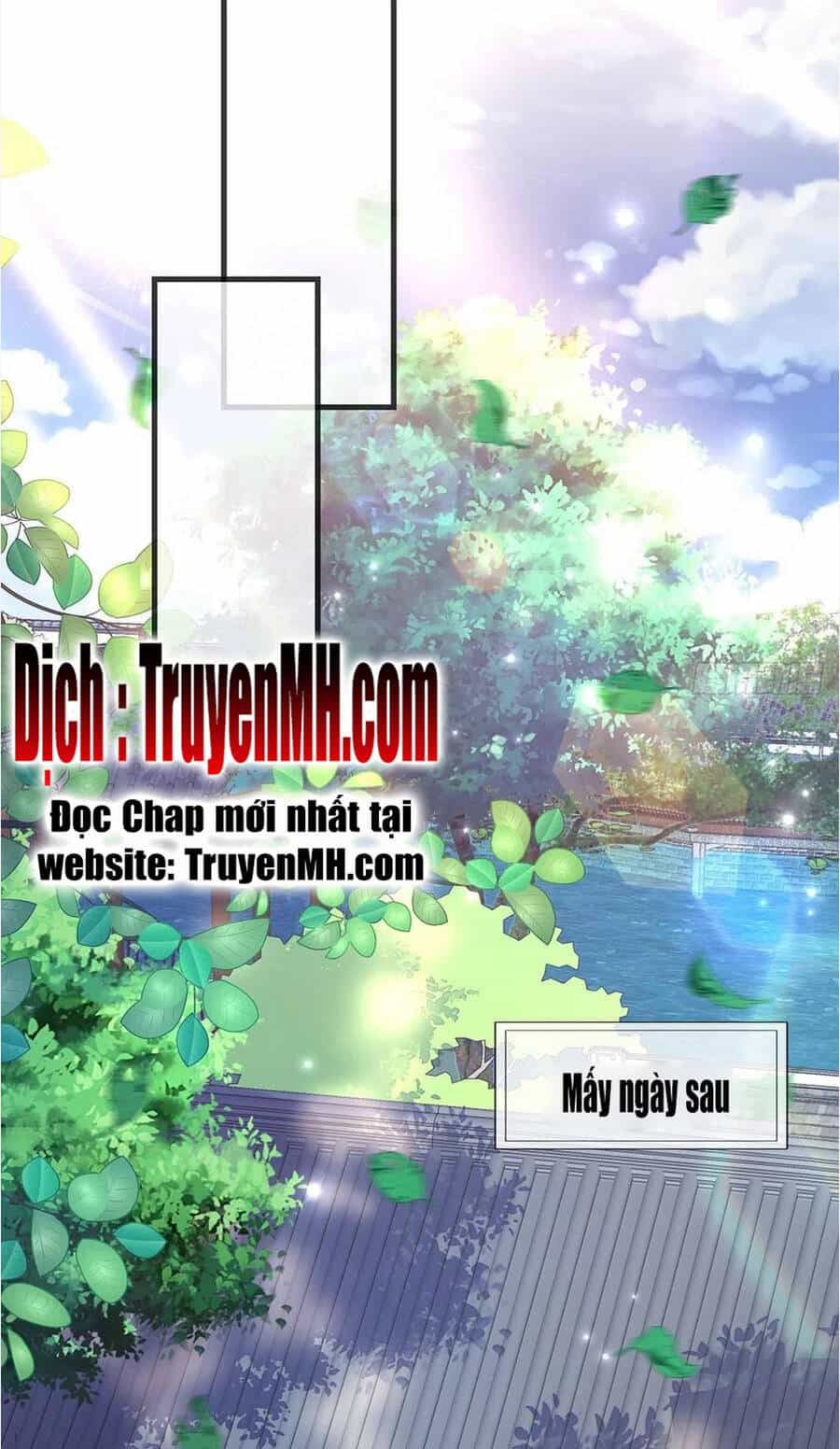Kiều Mỵ Phu Lang, Tại Tuyến Lục Trà - Chương 86 - ảnh 12