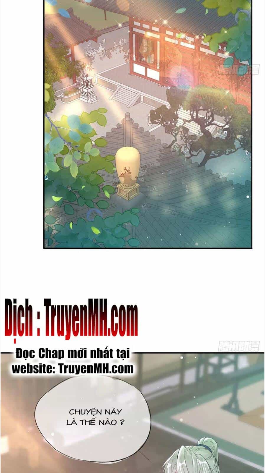 Kiều Mỵ Phu Lang, Tại Tuyến Lục Trà - Chương 95 - ảnh 17