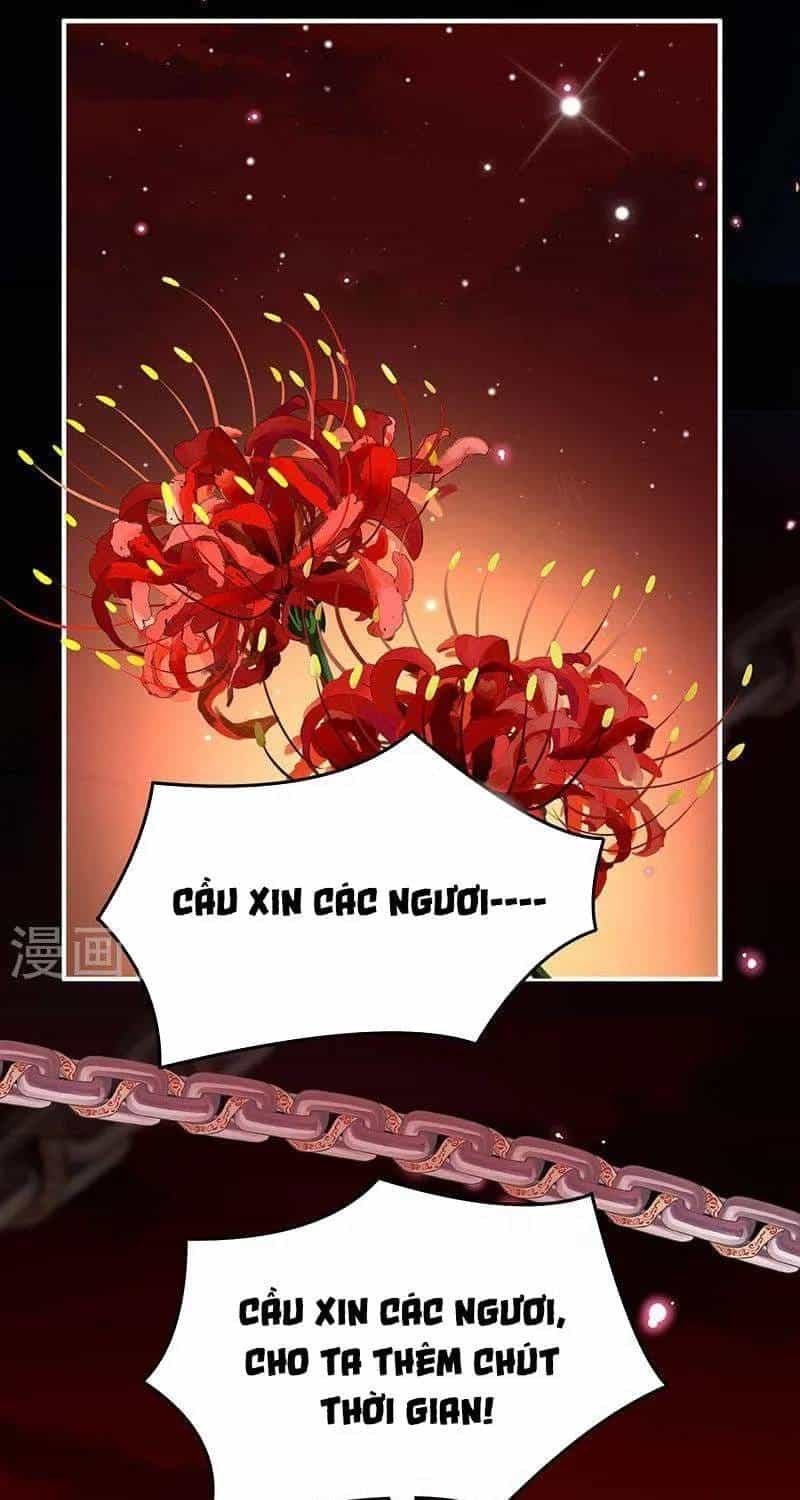 Kiều Phu Có Hỉ - Chương 70 - ảnh 38