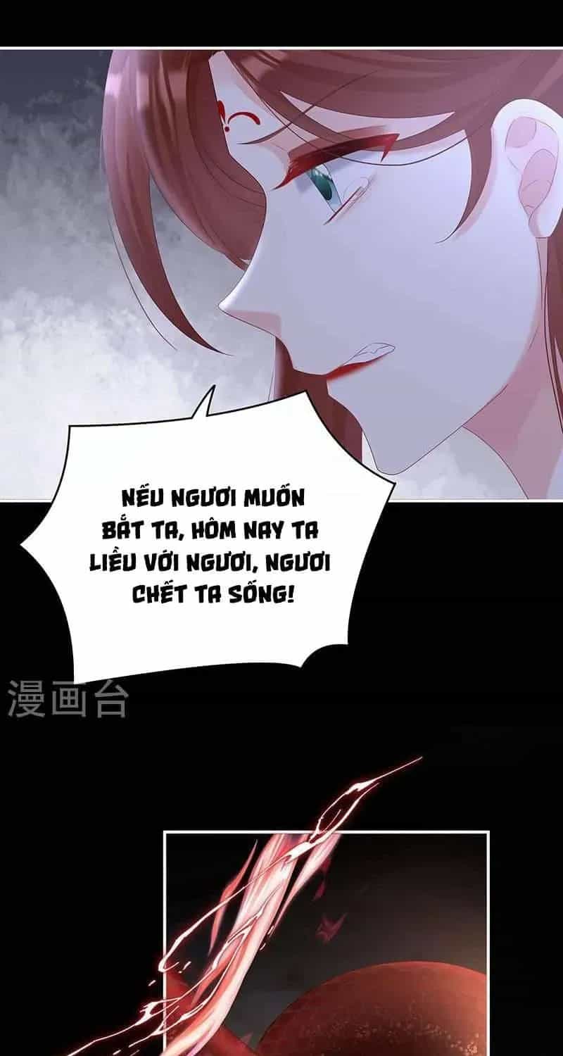 Kiều Phu Có Hỉ - Chương 71 - ảnh 19
