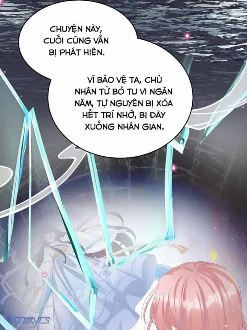 Kiều Phu Có Hỉ - Chương 77 - ảnh 16